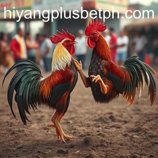 Cockfighting